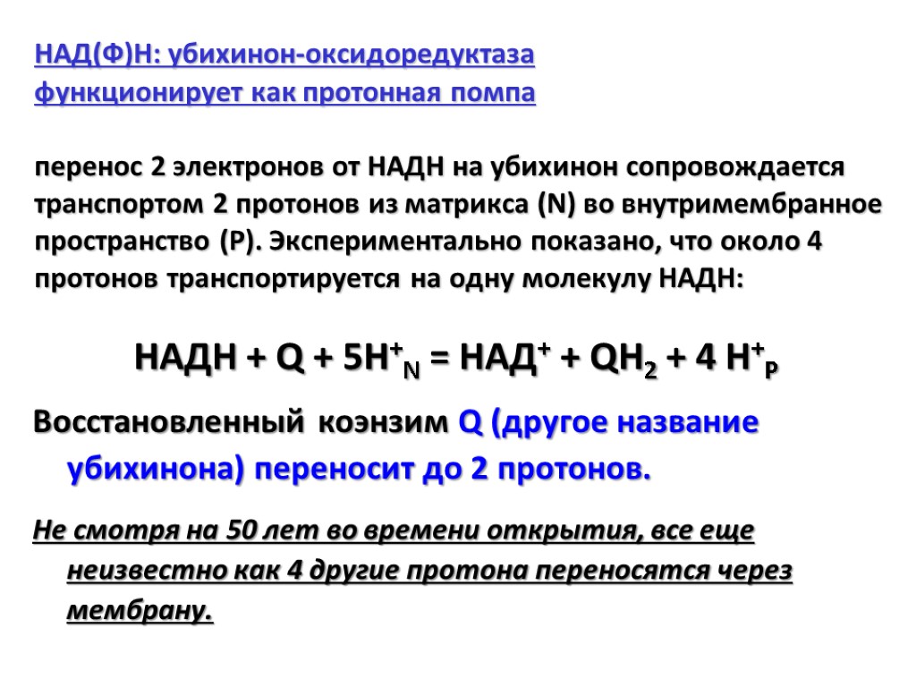 НАД(Ф)Н: убихинон-оксидоредуктаза функционирует как протонная помпа перенос 2 электронов от НАДН на убихинон сопровождается